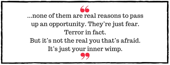 Jo Davidson Block Quote: none of them are real reasons to pass up an opportunity. They're just fear. Terror in fact. But it's not the real you that's afraid. It's just your inner wimp.